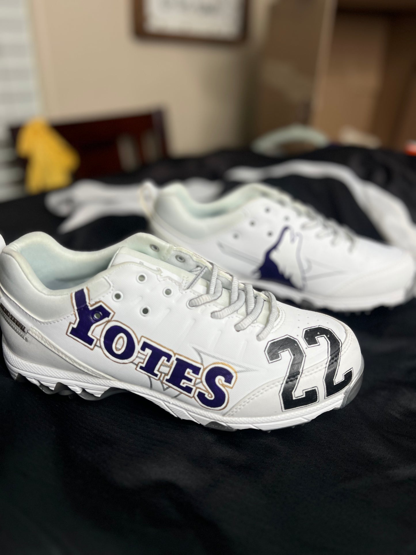 Custom Baseball/Softball/Football Cleats